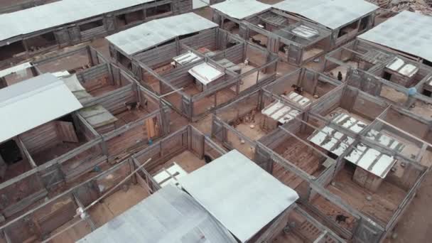 Un refuge pour chiens errants sans abri. Vue aérienne 