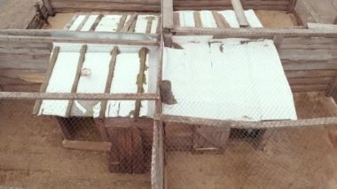 Evsiz köpek barınağı. Hava görünümü