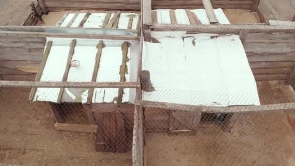 Un refuge pour chiens errants sans abri. Vue aérienne 