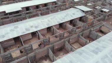 Evsiz köpek barınağı. Hava görünümü