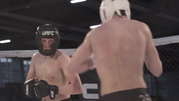 Fight in the MMA octagon. Slow motion. Kyiv. Ukraine — Stock Video