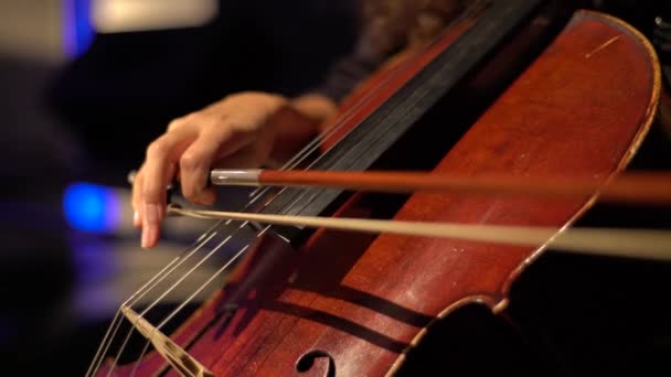 Cellomädchen spielen Cello aus nächster Nähe. Kiew. Ukraine — Stockvideo
