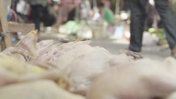 Mercado en Phnom Penh. Camboya. Asia. Cadenas de pollo en el mostrador — Vídeo de stock