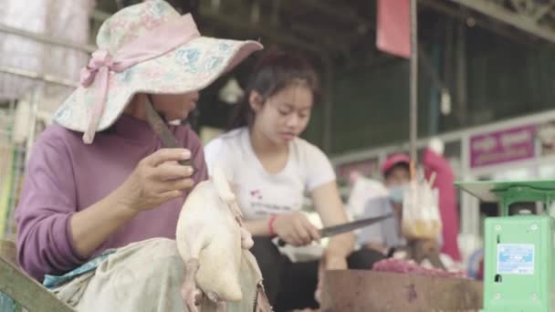 Piac Phnom Penh-ben. Kambodzsa. Ázsiában. Női eladó hússal. — Stock videók