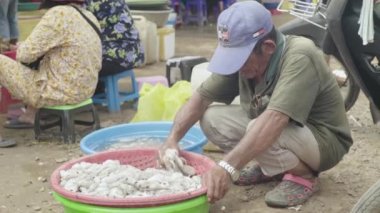 Sihanoukville 'deki pazar. Kamboçya. Asya. Erkek mürekkep balığı satıcısı.