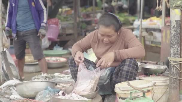 Market in Sihanoukville. Cambodia. Asia. Woman seller of fish — Stock Video