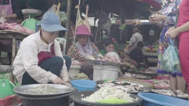 Market in Sihanoukville. Cambodia. Asia — Stock Video