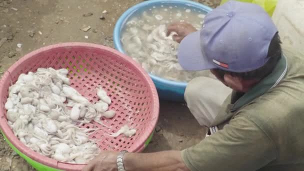 Mercado en Sihanoukville. Camboya. Asia. Hombre vendedor de calamares — Vídeos de Stock