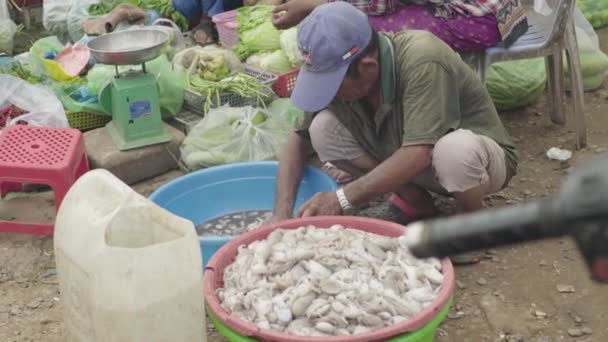 Marché à Sihanoukville. Cambodge. L'Asie. Homme vendeur de calmar — Video