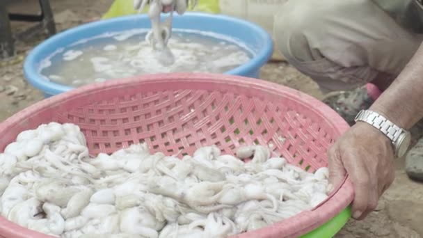 Mercato a Sihanoukville. Cambogia. In Asia. Calamari in una ciotola — Video Stock