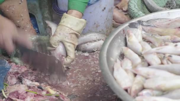 Mercado en Sihanoukville. Camboya. Asia. Cuchillo de pescado antes de la venta — Vídeos de Stock