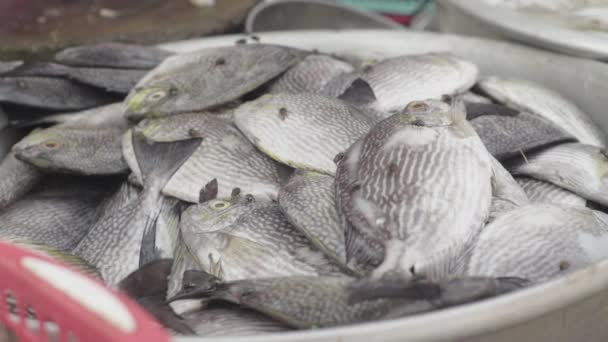 Sihanoukville 'deki pazar. Kamboçya. Asya. Tezgahta bir sürü balık uçuşuyor. — Stok video