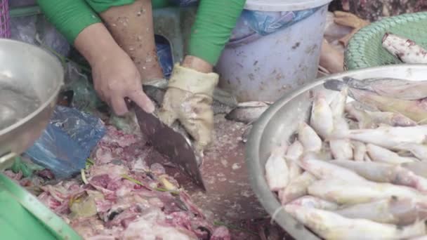 Mercado em Sihanoukville. Camboja. Ásia. Corte de peixe com uma faca — Vídeo de Stock