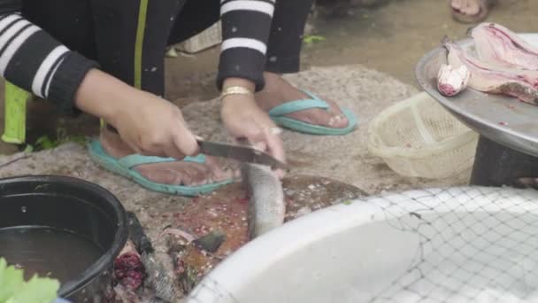 Mercato a Sihanoukville. Cambogia. In Asia. Tagliare il pesce con un coltello — Video Stock