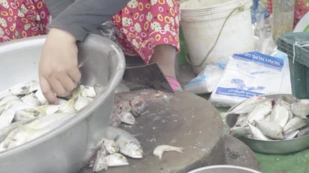 Mercado en Sihanoukville. Camboya. Asia. Cortar pescado con un cuchillo — Vídeos de Stock