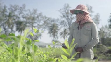 Bir erkek işçi bir çiftlikte çimenleri suluyor. Sihanoukville 'de. Kamboçya. Asya