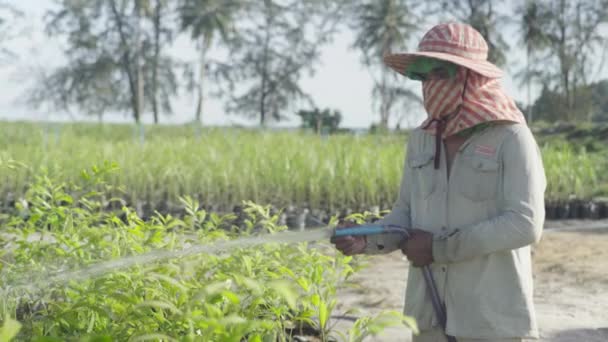 Ein männlicher Arbeiter wässert Gras auf einer Plantage. Sihanoukville. Kambodscha. Asien — Stockvideo