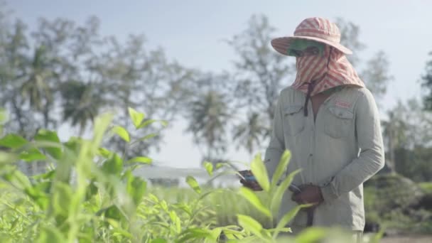 Mężczyzna podlewa trawę na plantacji. W Sihanoukville. Kambodża. Azja — Wideo stockowe
