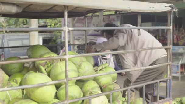Щоденне життя в Камбоджі. Азія. Чоловік розвантажує машину кокосовими горіхами. — стокове відео