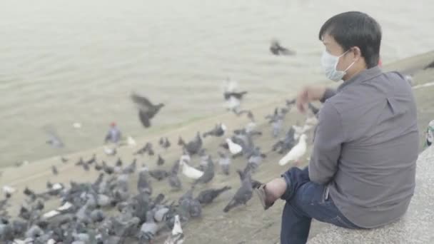 Щоденне життя в Камбоджі. Азія. Людина годує голубів на берегах річки Меконг. — стокове відео