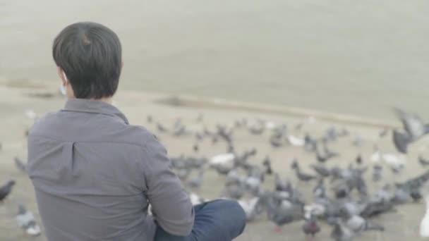 Повседневная жизнь в Камбодже. Азия. Человек кормит голубей на берегу реки Меконг. — стоковое видео