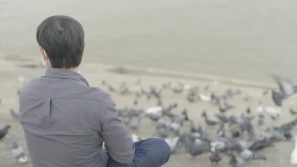 Dagelijks leven in Cambodja. Azië. Een man voedt duiven aan de oever van de Mekong Rivier — Stockvideo