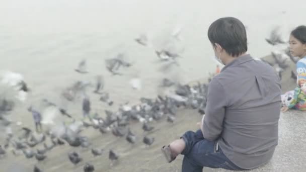 Щоденне життя в Камбоджі. Азія. Людина годує голубів на берегах річки Меконг. — стокове відео