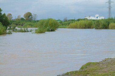 Şehirdeki nehrin üzerinde yaz manzarası.