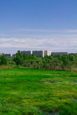 Uzaktaki evlerin manzarası. Bulutlu mavi gökyüzü.