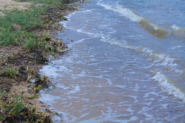 Meereswelle Ufer Meeresküste Mit Algen — Stockfoto