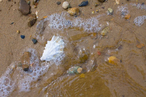 Sandy Beach Pebbles Shells Sea Wave Shore — Stock Photo, Image