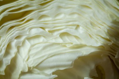 Savoy lahanası kesilmiş. Yakın plan bir kesik olduğunu gösteriyor. açıkça görünen lahana dokusu