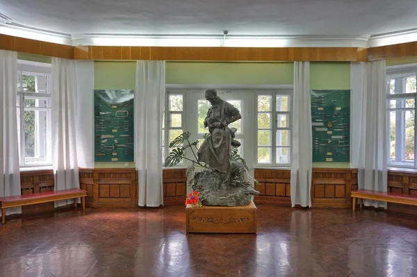 Interno Del Museo Proprietà Del Chirurgo Famoso Nikolai Pirogov — Foto Stock