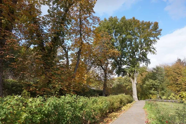 Vinnitsa 'daki cerrah Pirogov' un müze malikanesinde ziyaretçiler için terk edilmiş yollar.