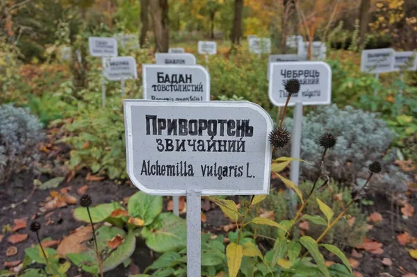 ヴィニツァのミハイル ピロゴフ国立博物館にあるウクライナ語とラナン語で栽培されている薬用植物の隣のプレート — ストック写真