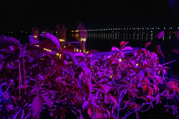 Iluminação Noturna Cais Água Rio — Fotografia de Stock