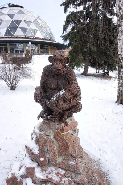 Posąg Małpy Przed Małpami Kijowskim Zoo — Zdjęcie stockowe