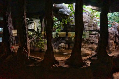 Kiev Hayvanat Bahçesi 'nde tropikal hayvanların ve balıkların olduğu akvaryumlar..