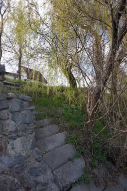 Sarkık söğüt dallarından köy evinin manzarası.