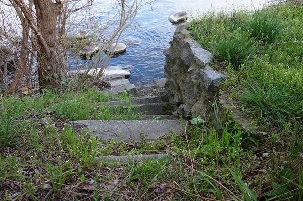 Alte Stufen Führen Hinunter Zum Wasser Frühling — Stockfoto