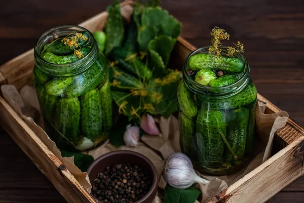 Ферментація огірків у скляних банках — стокове фото