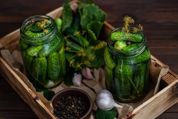 Fermentación de pepinos en frascos de vidrio — Foto de Stock