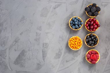 Koyu arkaplanda farklı böğürtlenli kısakabuklu pastadan ev yapımı tartlar. Sağlıklı beslenme, sağlıklı atıştırma. Boşluğu kopyala, metni yerleştir, düzleştir. Yukarıdan görüntüle