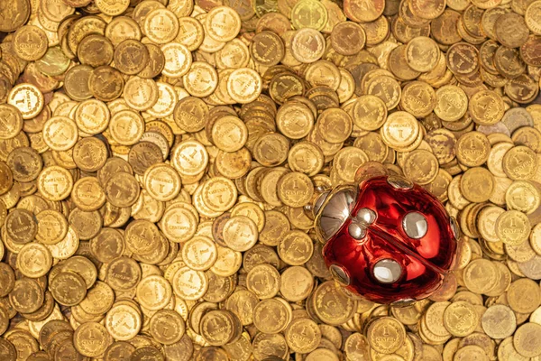 Altın madeni paraların yatağı. Üstünde uğurböceği var.