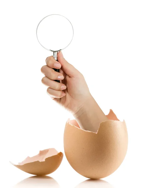 Kırık yumurta beyaz artalanları izole eliyle