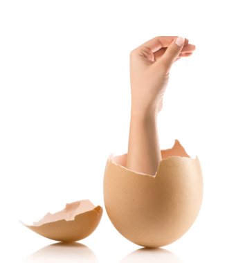 Kırık yumurta beyaz artalanları izole eliyle