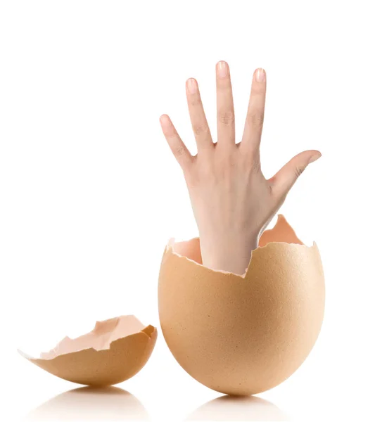 Mão com ovo quebrado isolado no fundo branco — Fotografia de Stock
