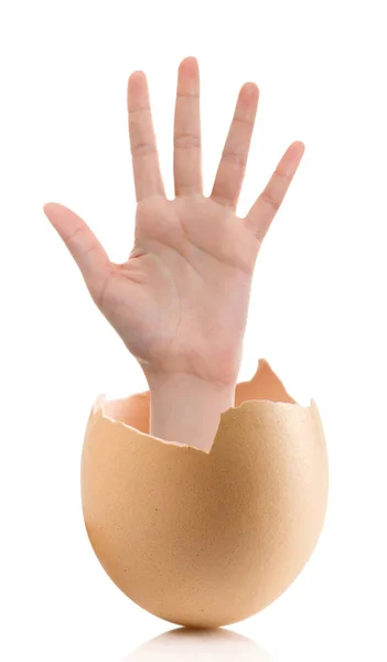 Kırık yumurta beyaz artalanları izole eliyle — Stok fotoğraf