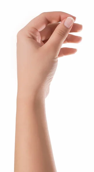 kadın elini tut sanal kartvizit, kredi kartı veya boş kağıt