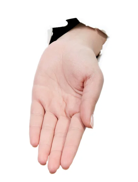 Μεγέθυνση του όμορφη γυναίκα του χέρι, η παλάμη πάνω. απομονώνονται σε λευκό β — Φωτογραφία Αρχείου
